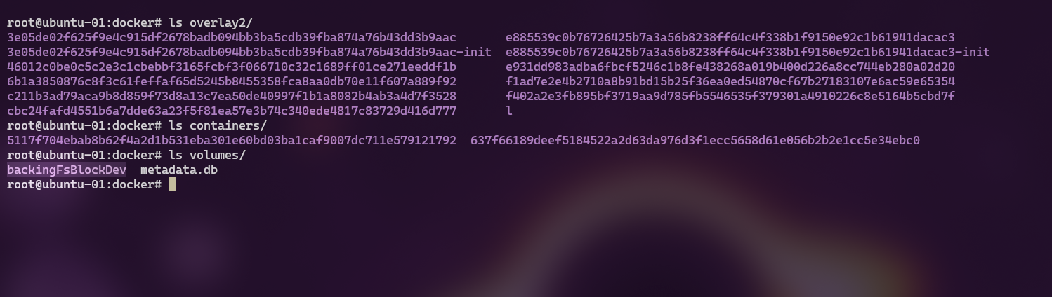 Pasted image 20260209001254