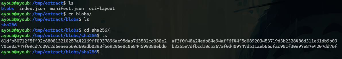 Pasted image 20260305012336