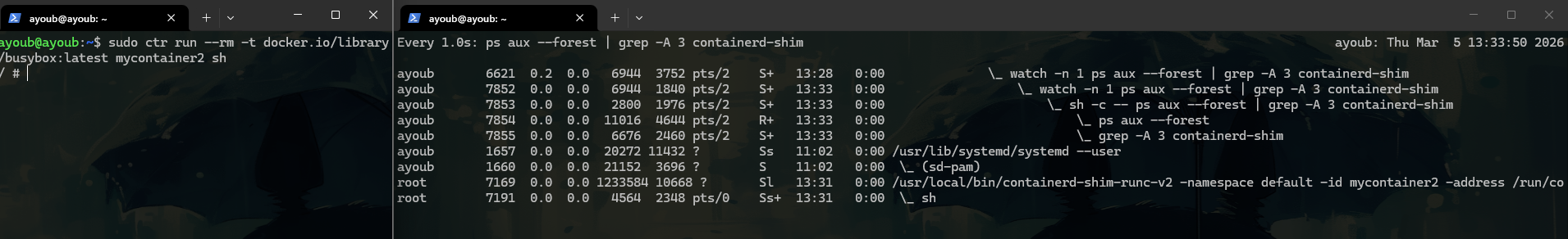 Pasted image 20260305143404