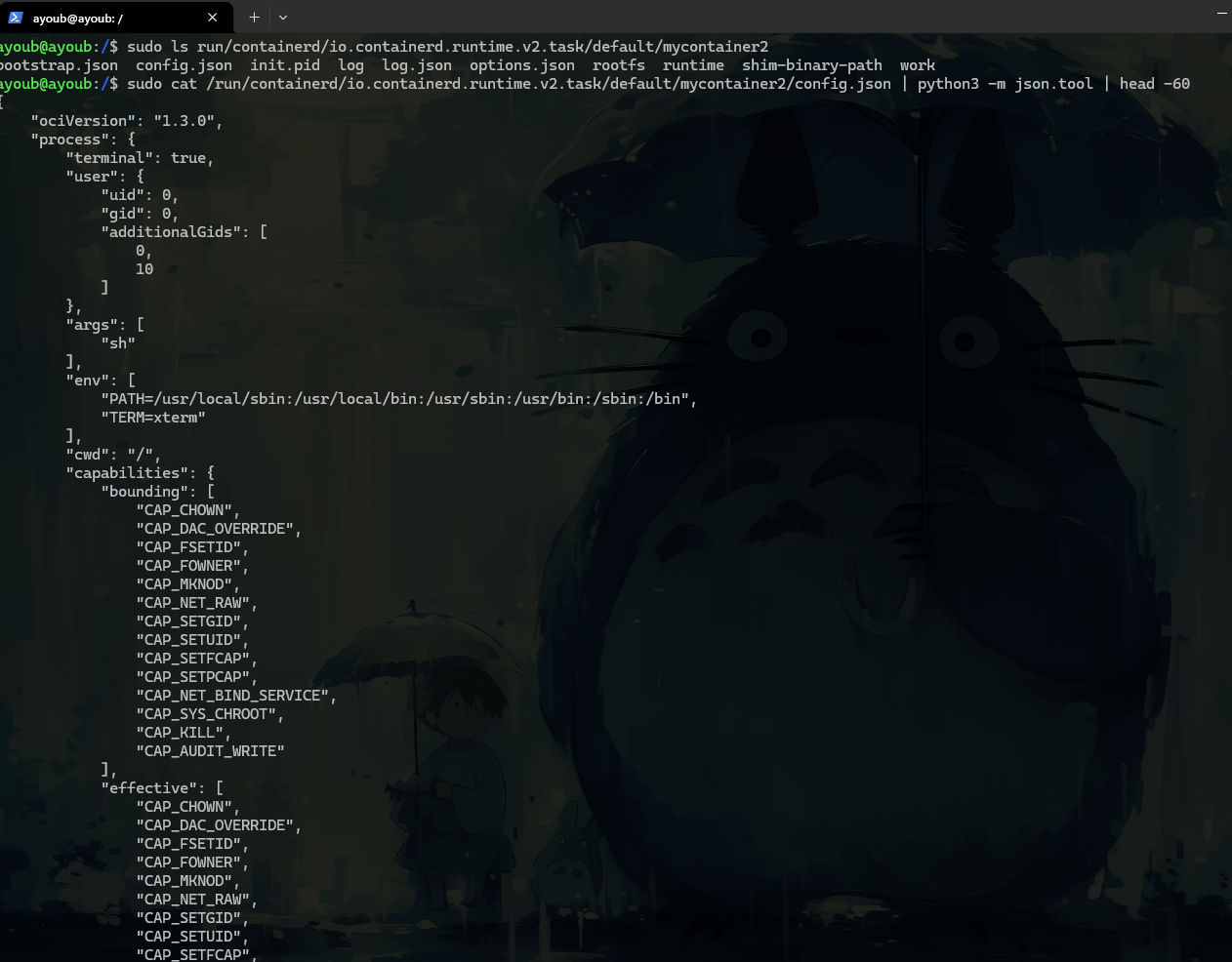 Pasted image 20260305150036