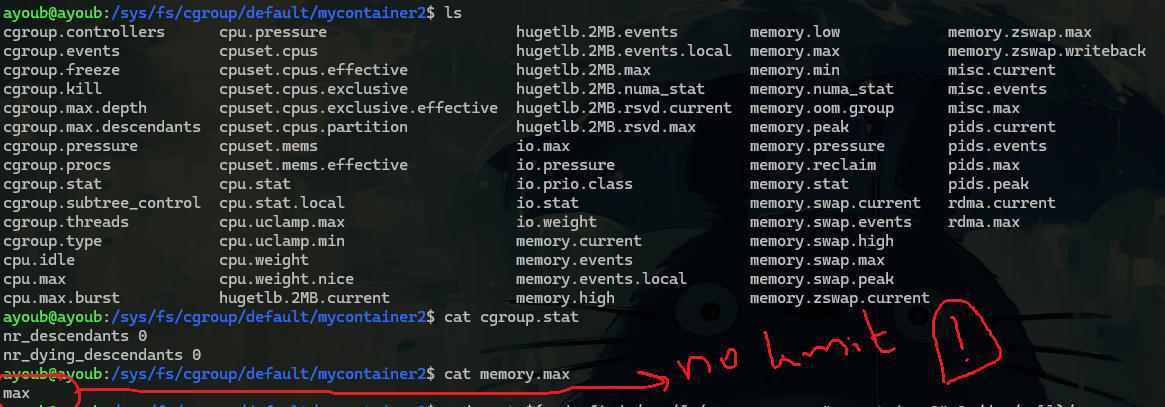 Pasted image 20260305151127