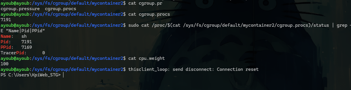 Pasted image 20260305160202