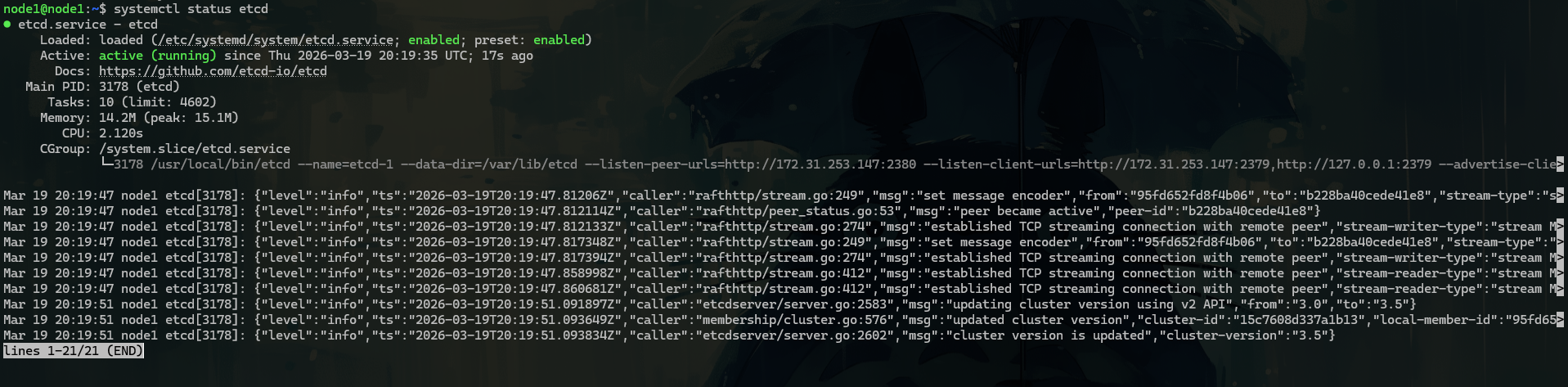 Pasted image 20260319212111