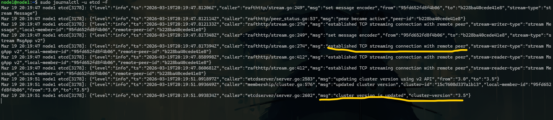 Pasted image 20260319213533